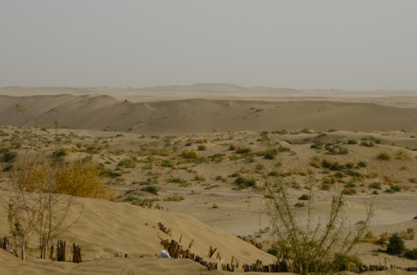 Karakorum Desert
