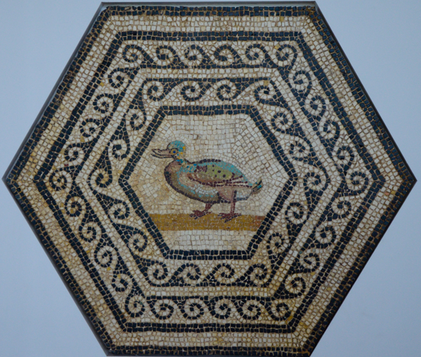 Duck Mosaic - Vienne