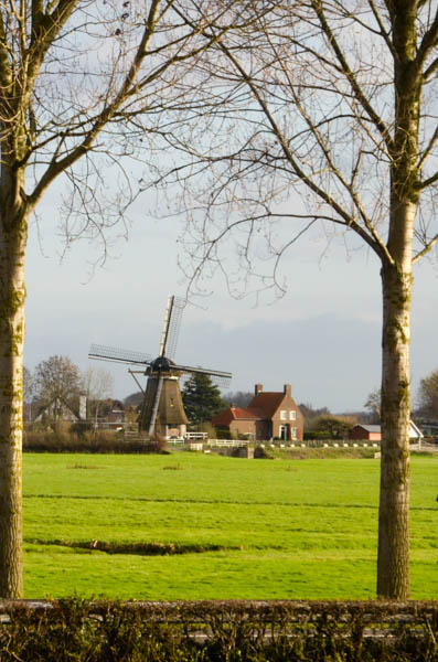 Windmill