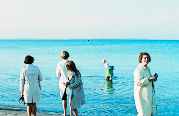 Wading in the Baltic