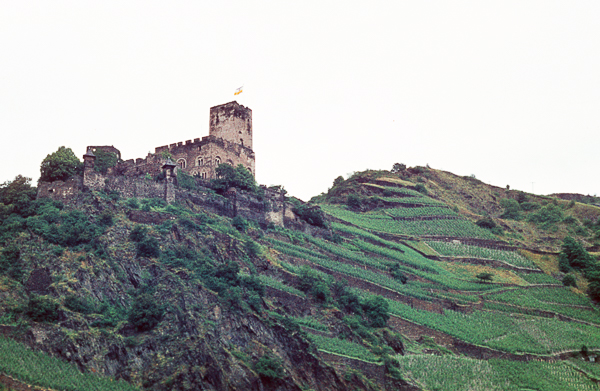 Rhein castle