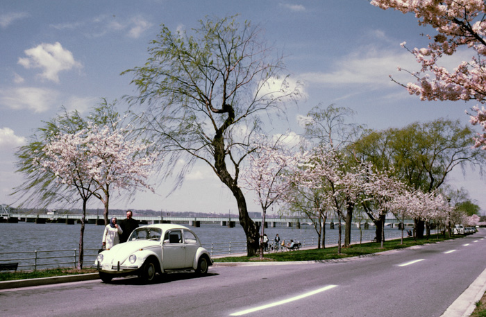 Hains Point