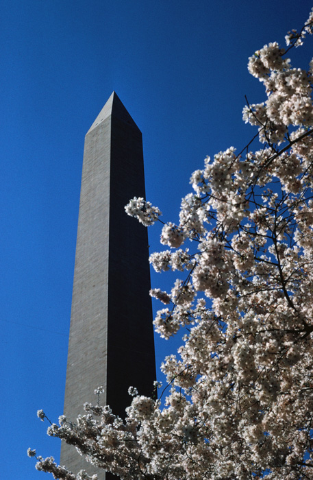 Washington Monument