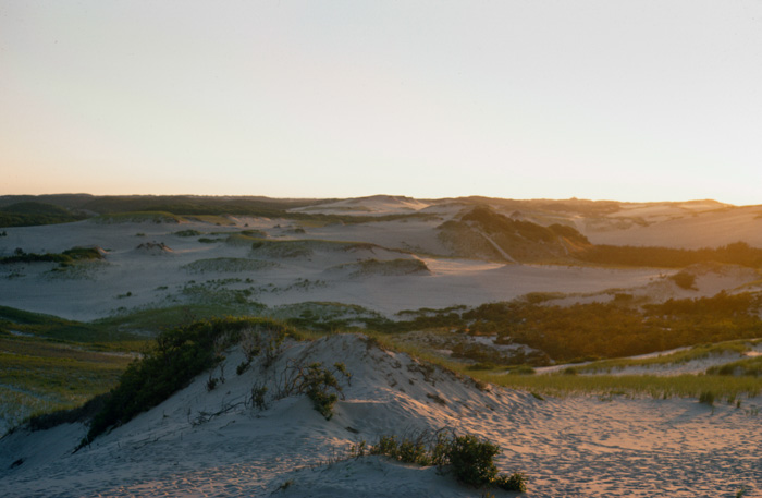 Cape Cod Dunes