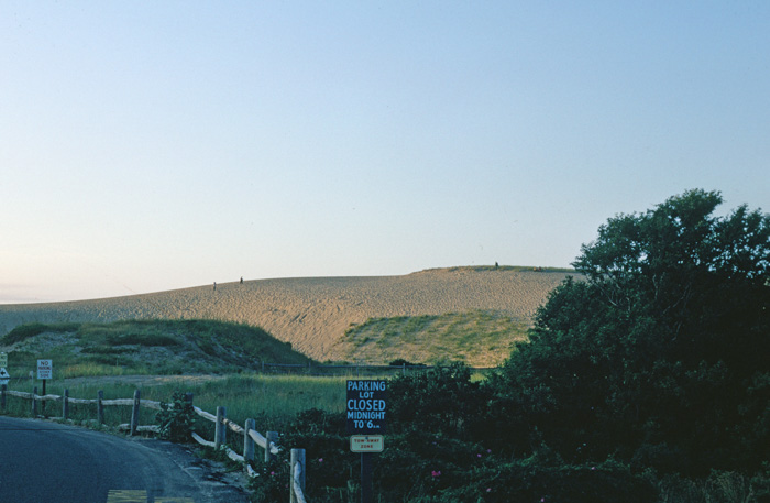 Cape Cod Dunes