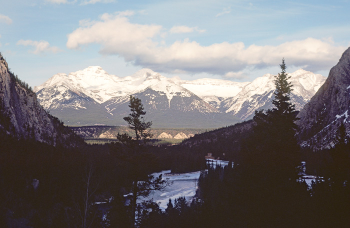 Bow River View