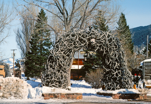 Antler Arch, Jackson