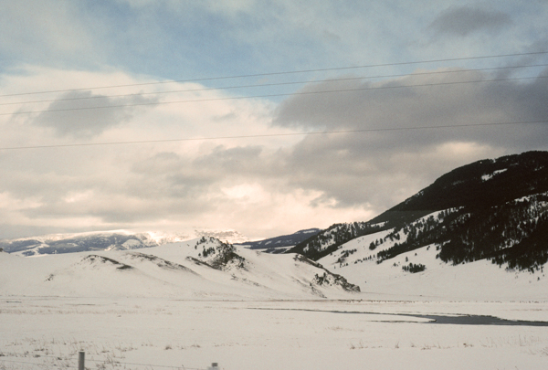 Elk Refuge