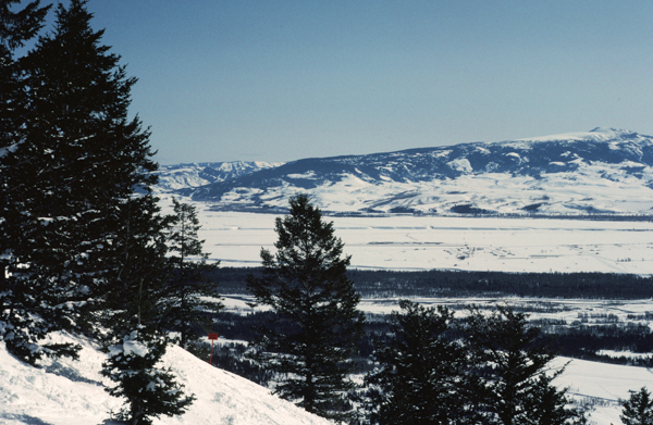 Jackson Hole slope