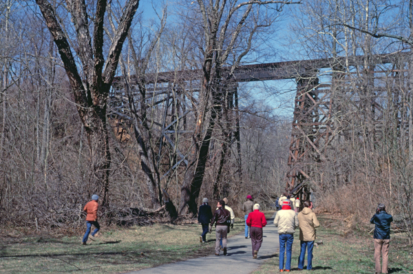 Trestle from below