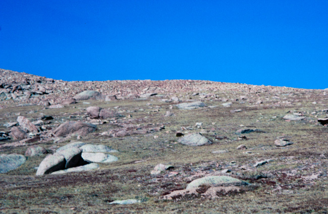 Above the Tree Line