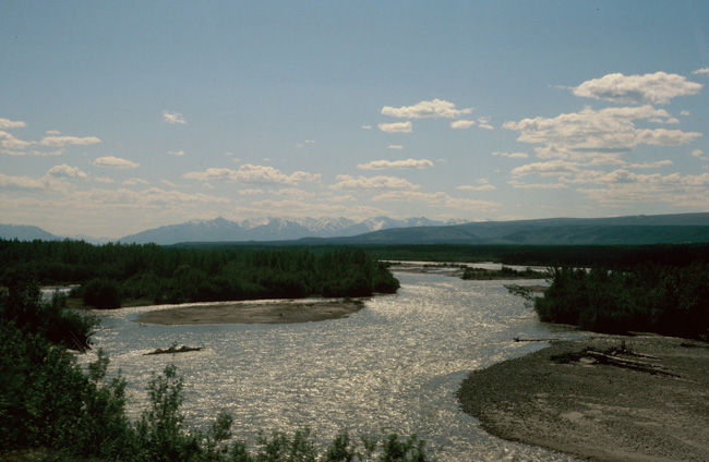 Nenana River