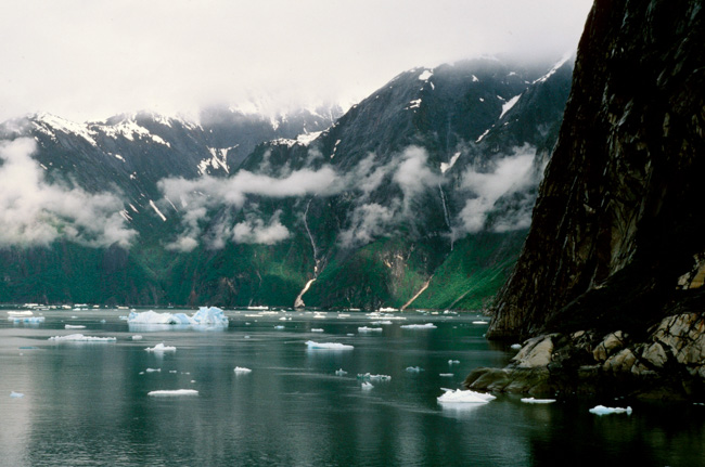 Tracy Arm