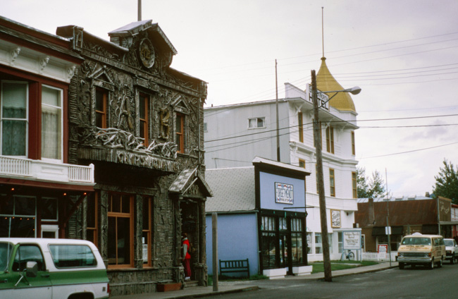 Driftwood building