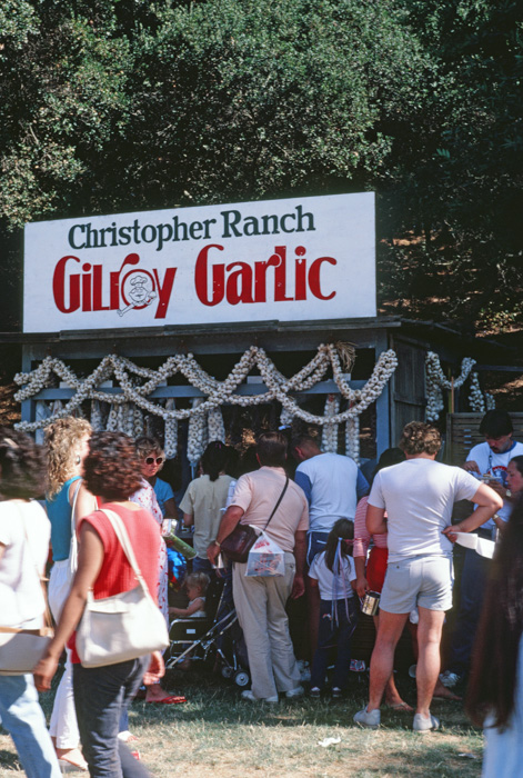 Garlic garlands