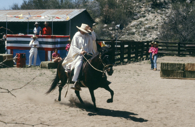 Peruvian Paso