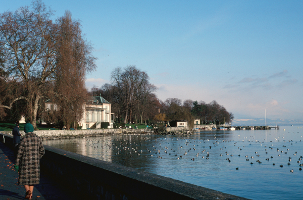 Lake Geneva