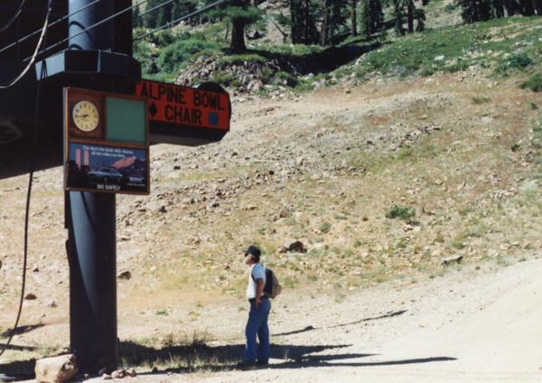 Alpine Bowl Chair