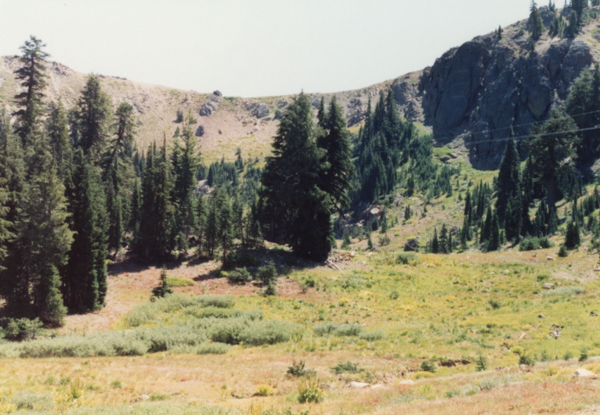 Alpine Bowl