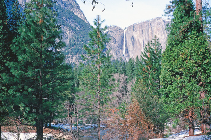 Yosemite Falls