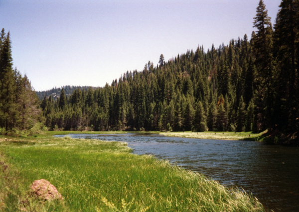 Truckee River