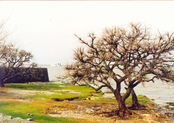 Colonia Uruguay