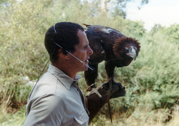 Eagle demonstration
