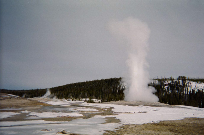 Old Faithful