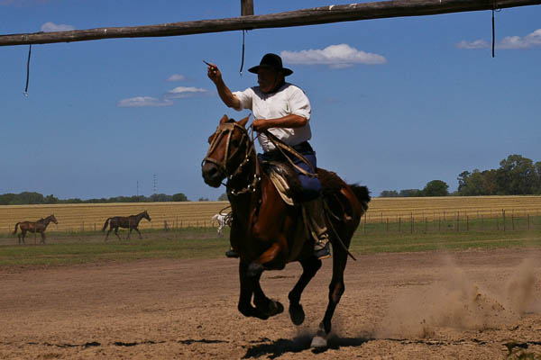 Gaucho display