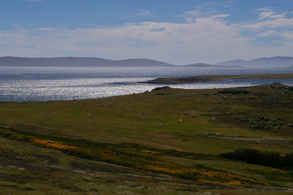Falklands Vista