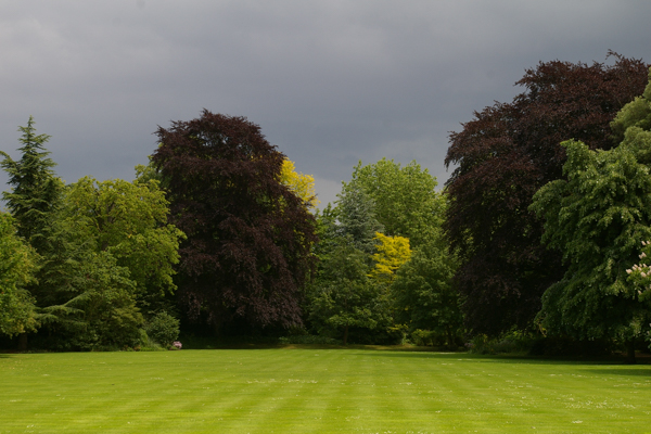 St. John College Garden