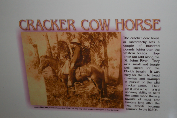 Cracker Cow Horse