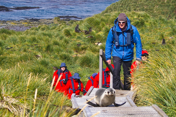 Hikers on Prion Island