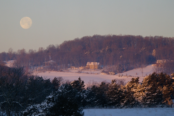 Snowy dawn