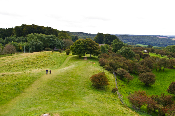 Path from Folly