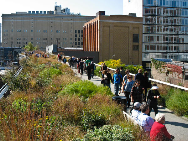 High Line Savanna