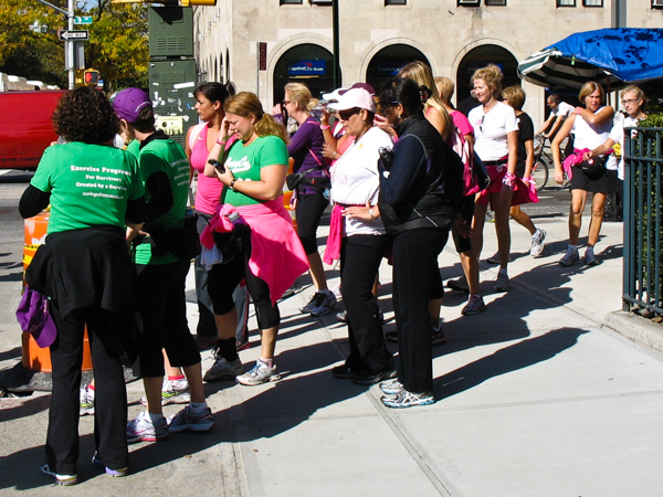 Breast Cancer Walkers