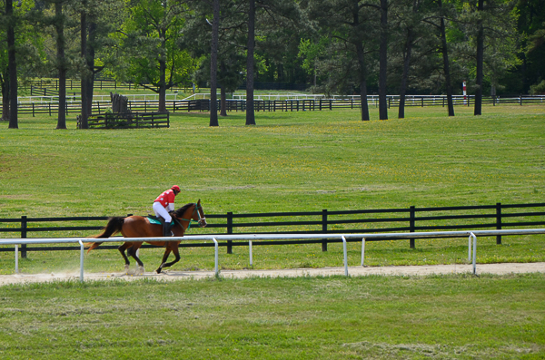 Galloping