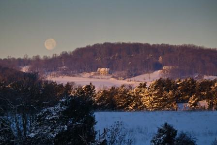 Snowy Dawn