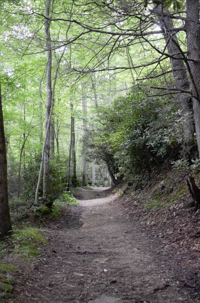 Cloudy path