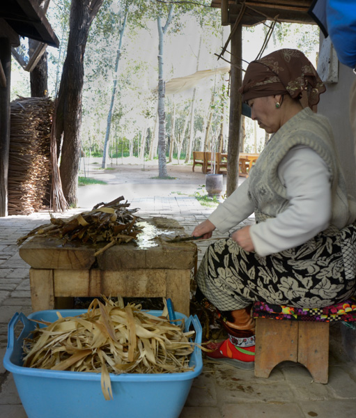 Peeling the mulberry bark