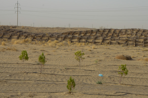 Desert Stabilization