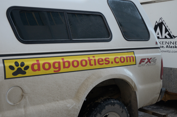 Dog booties