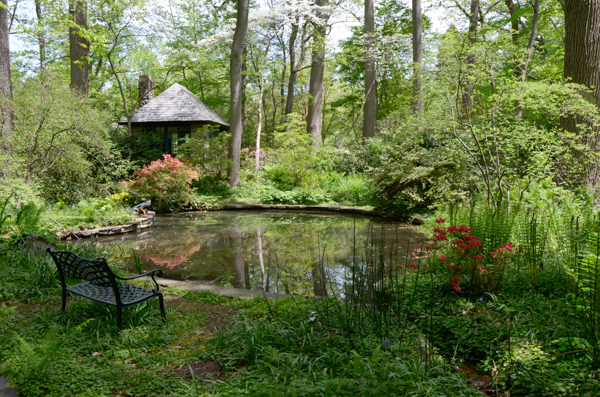 Barnes Arboretum, Japanese tea house