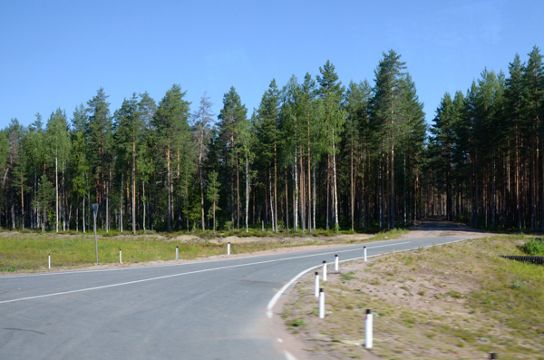 Karelia Forest