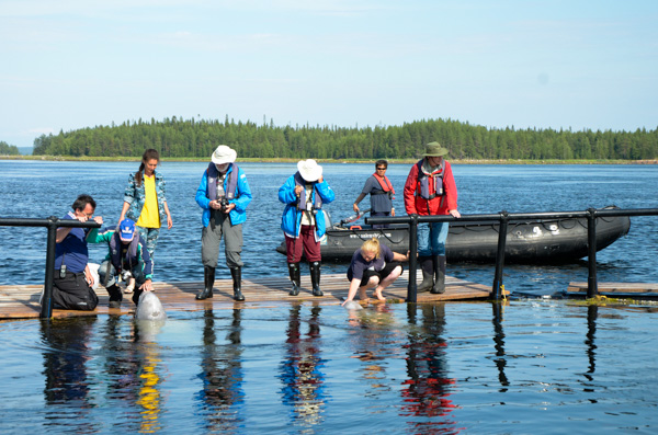 Visiting the whales