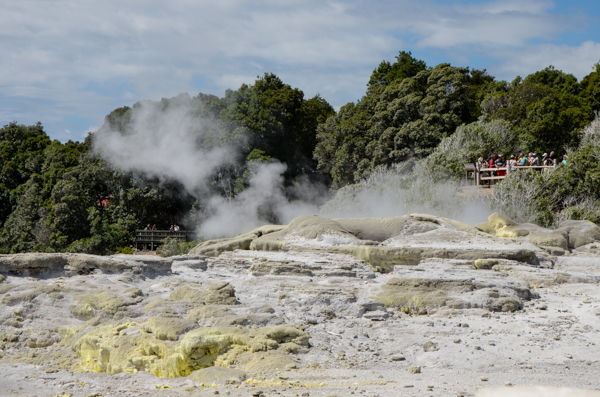 Whakarewarewa Geothermal Valley