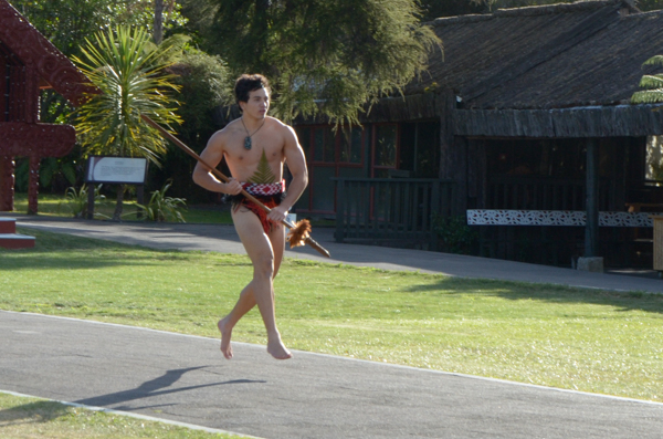 Maori Warrior