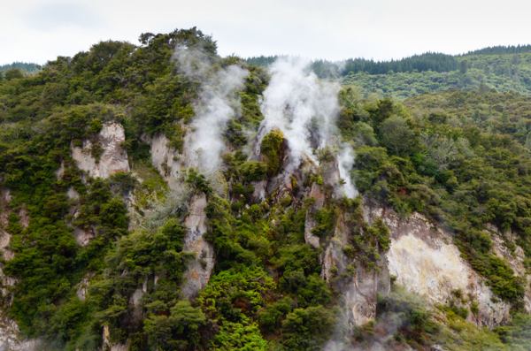 Cathedral Rocks, Waimangu