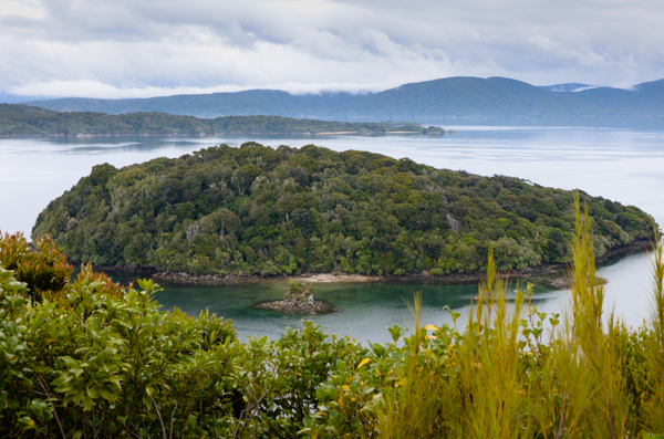 Iona Island, NZ